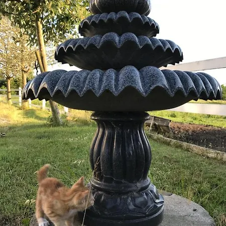 Troldegaarden カントリーハウス *