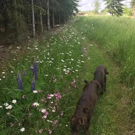 Troldegaarden キューゲ