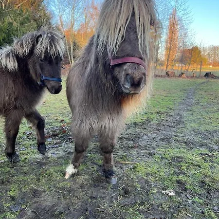 Troldegaarden カントリーハウス *