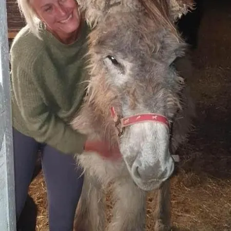 Troldegaarden カントリーハウス