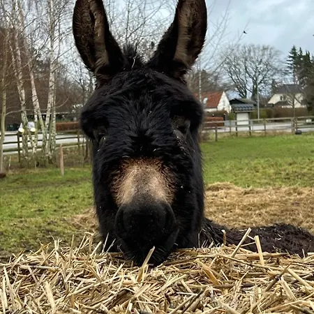 Troldegaarden カントリーハウス