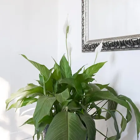 カントリーハウス Troldegaarden *