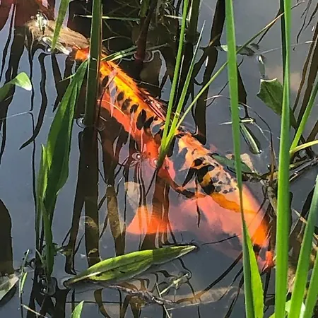 Troldegaarden カントリーハウス