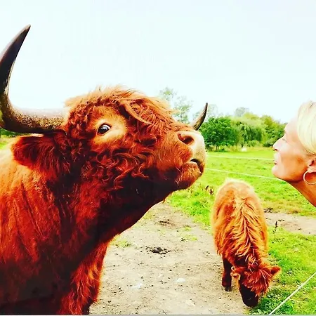 컨트리하우스 Troldegaarden *