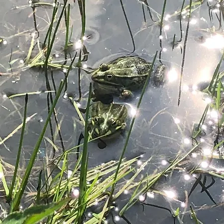 컨트리하우스 Troldegaarden 코이에