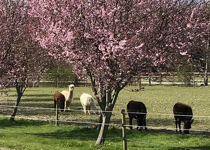 Casa di campagna Troldegaarden Koge