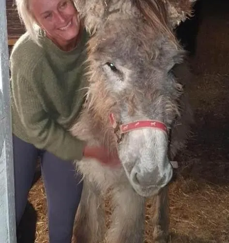 Troldegaarden Casa di campagna