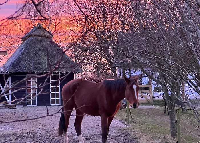 Casa di campagna Troldegaarden