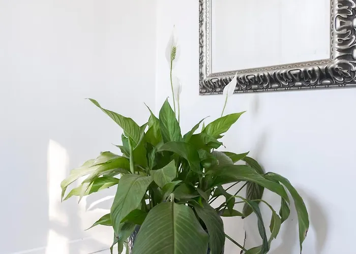 Casa di campagna Troldegaarden *