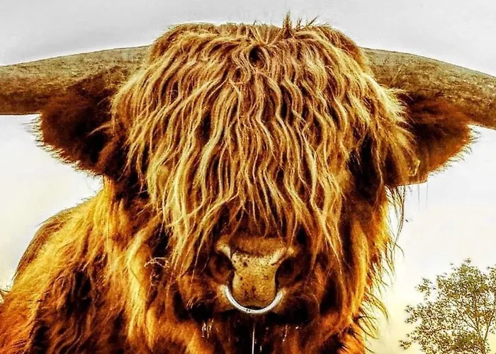 Casa di campagna Troldegaarden Koge