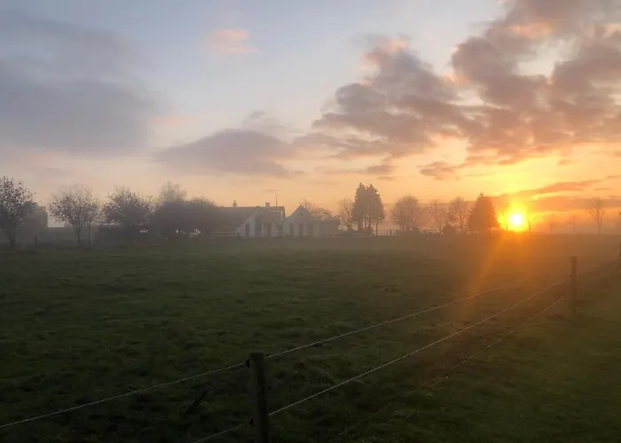 Troldegaarden * Koge