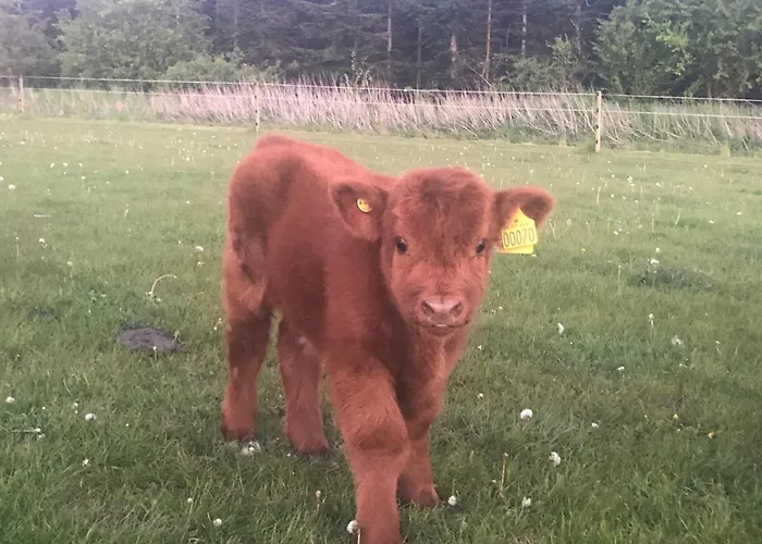 Casa di campagna Troldegaarden