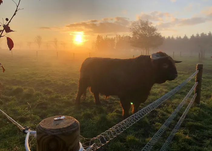 Casa di campagna Troldegaarden Koge