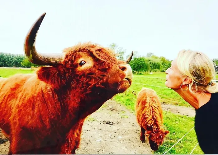 Casa di campagna Troldegaarden *